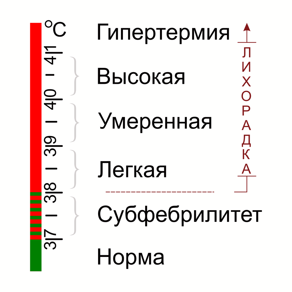 Классификация лихорадки